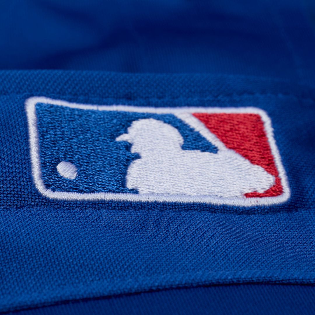 Adrian Beltre Texas Rangers Mitchell & Ness Cooperstown Mesh Batting Practice Button-Up Jersey - Royal
